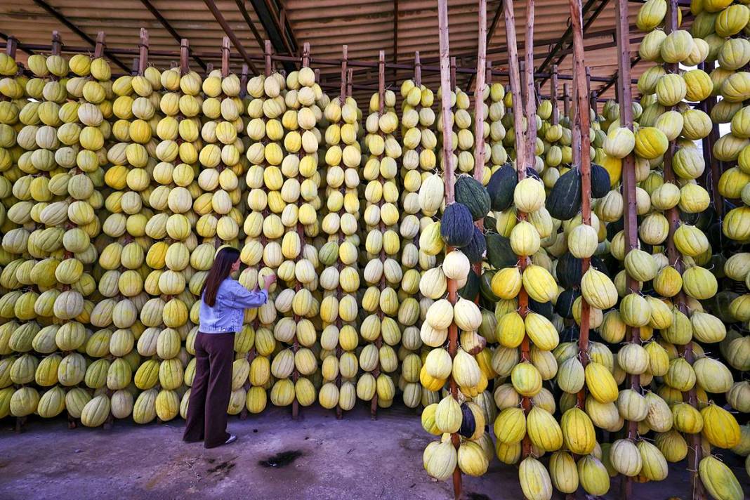 AB onaylı lezzet! Kırkağaç kavunu, kış aylarında da tezgahlarda 15